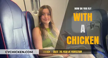 Flying with a Chicken: Tips for Safe and Stress-Free Travel