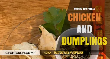 Mastering the Art of Freezing Chicken and Dumplings for Later