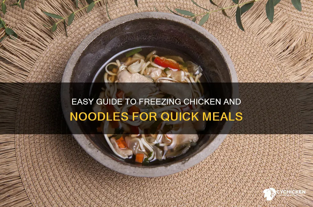 how do you freeze chicken and noodles