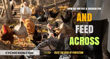 Sustainable Poultry Farming: Attracting Foxes and Feeding Chickens