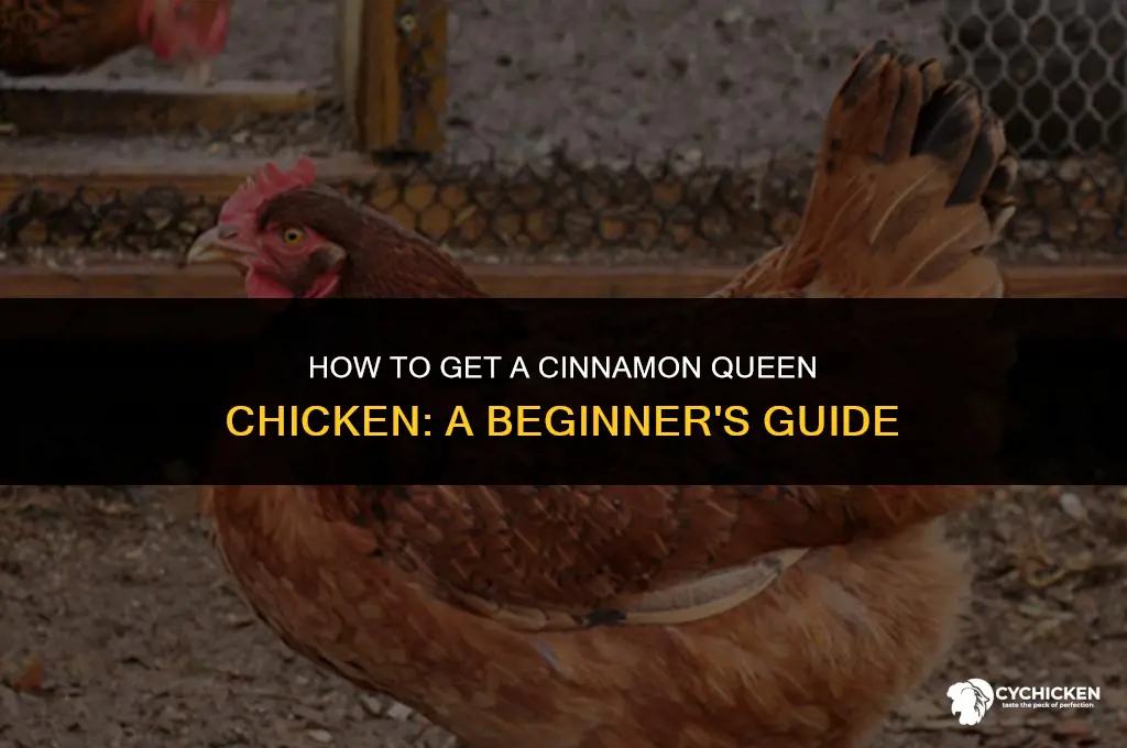 how do you get a cinnamon queen chicken
