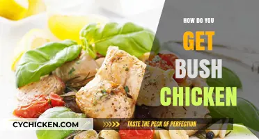 Savor the Flavor: A Guide to Preparing Bush Chicken Delights