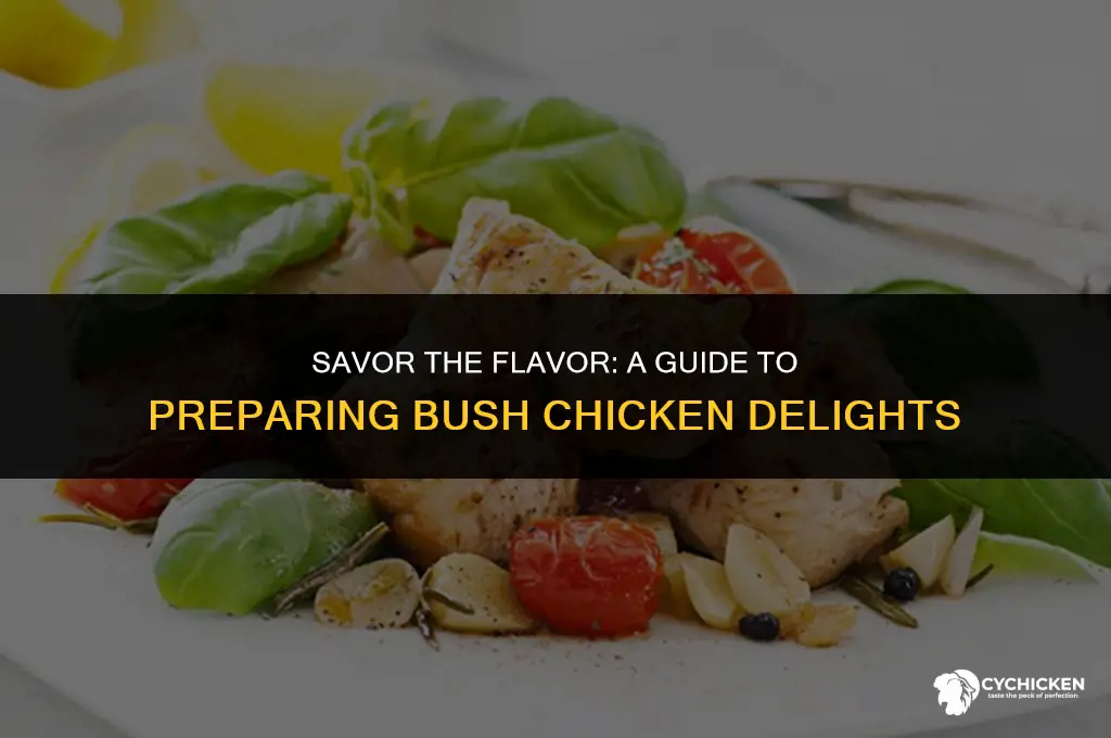 how do you get bush chicken