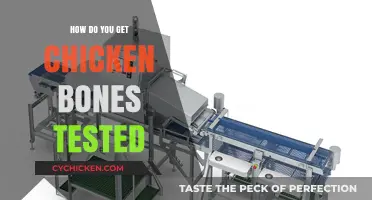 Unveiling the Secrets: How to Get Chicken Bones Tested