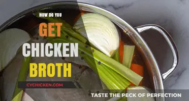 From Scratch to Simmering: A Guide to Making Chicken Broth
