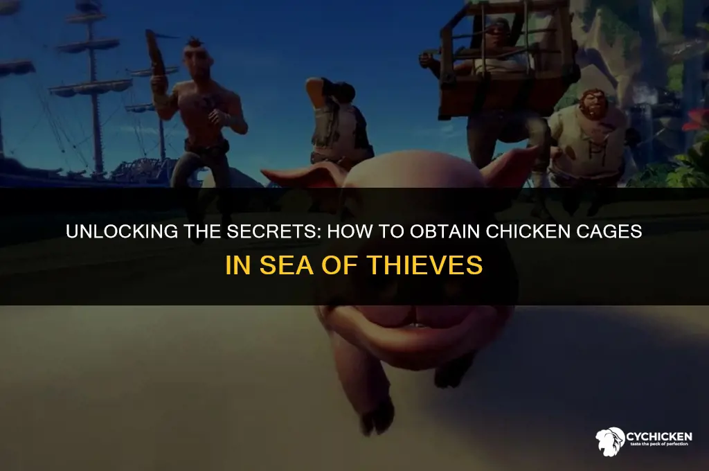 how do you get chicken cages in sea of thieves