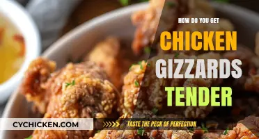 Mastering the Art of Tender Chicken Gizzards: A Culinary Guide