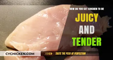 Mastering the Art of Juicy and Tender Chicken: A Culinary Guide