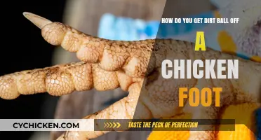 Effective Ways to Clean Dirt Balls Off Chicken Feet