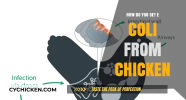 From Farm to Table: Understanding E. Coli Contamination in Chicken