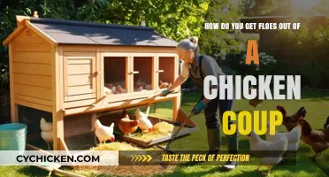Effective Strategies for Removing Chicken Poop from Your Coop