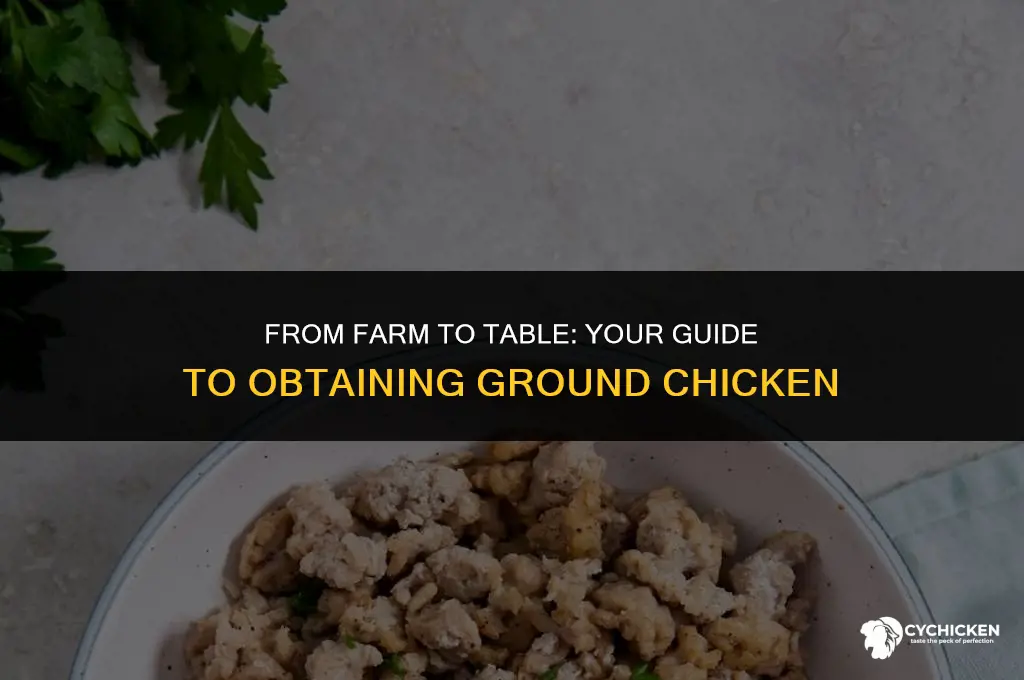 how do you get ground chicken