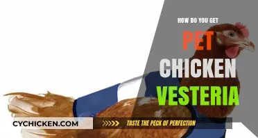 Feathered Friends Forever: Your Guide to Pet Chicken Vesteria