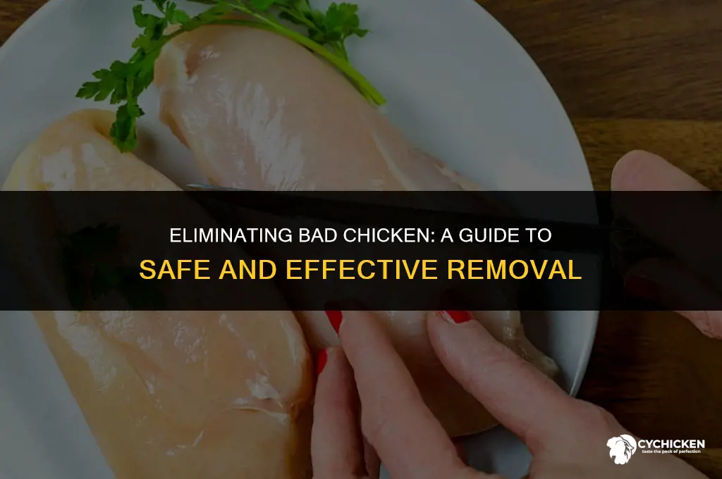 how do you get rid of bad chicken