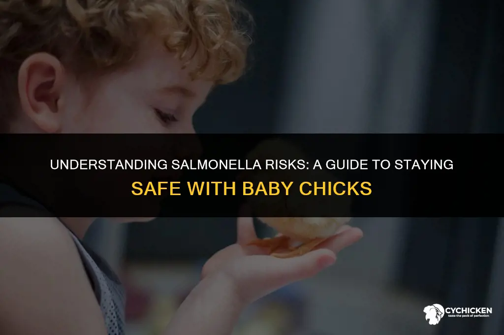 how do you get salmonella from baby chicks