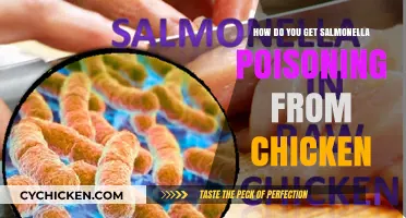 Understanding Salmonella Poisoning: Can You Get It from Chicken?