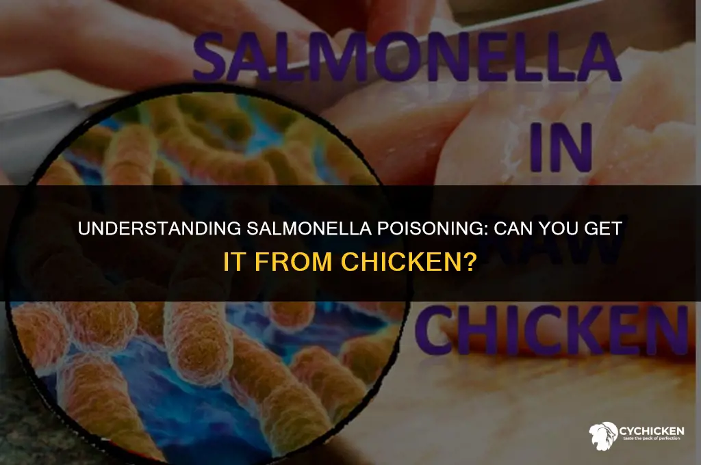 how do you get salmonella poisoning from chicken