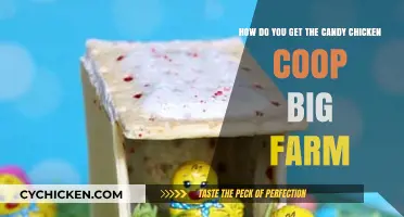 Sweet Success: Scaling Up Your Candy Chicken Coop on Big Farm