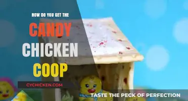 Sweet Success: Building a Candy Chicken Coop for Happy Hens