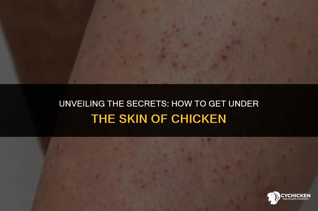 how do you get under the skin of chicken