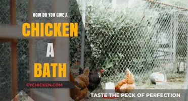 Easy Steps to Safely Bathing Your Chicken: A Beginner’s Guide