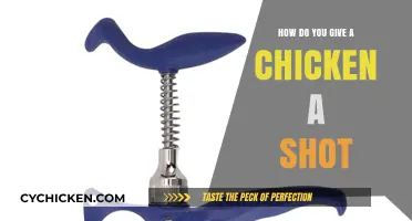 Administering Injections to Chickens: A Step-by-Step Guide for Poultry Owners