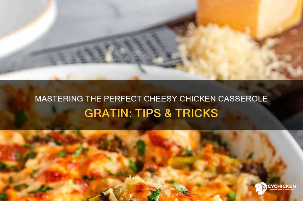 how do you gratin a cheesy chicken casserole