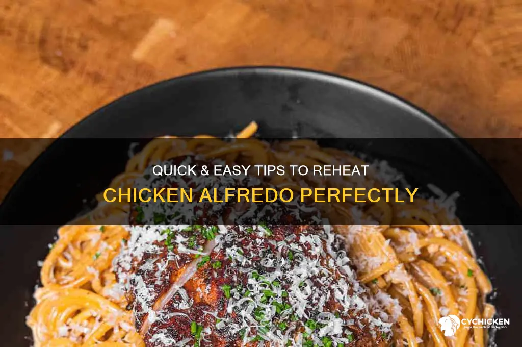how do you heat up chicken alfredo