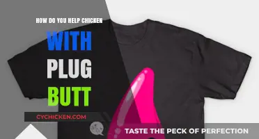 Effective Ways to Relieve a Chicken's Plug Butt Issue