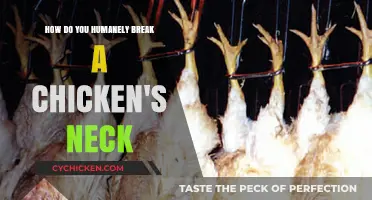 The Quick, Humane Way to Dispatch a Chicken