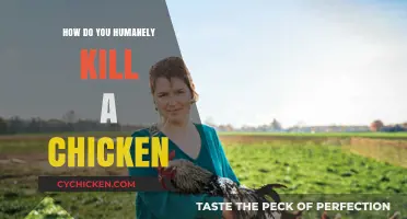 Compassionate Culling: A Guide to Humanely Killing Chickens at Home