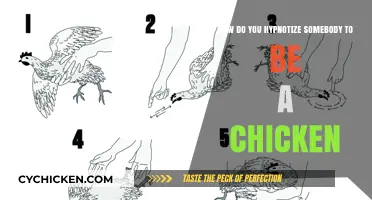 Hypnotizing Someone to Be a Chicken: A Step-by-Step Guide