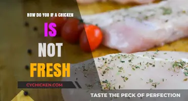 Signs of Stale Chicken: What to Look For