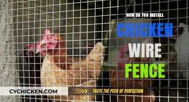 Step-by-Step Guide to Installing a Chicken Wire Fence Easily