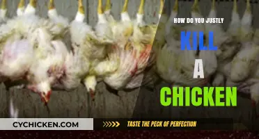 Ethical Chicken Slaughter: Humane Methods for Just and Compassionate Killing