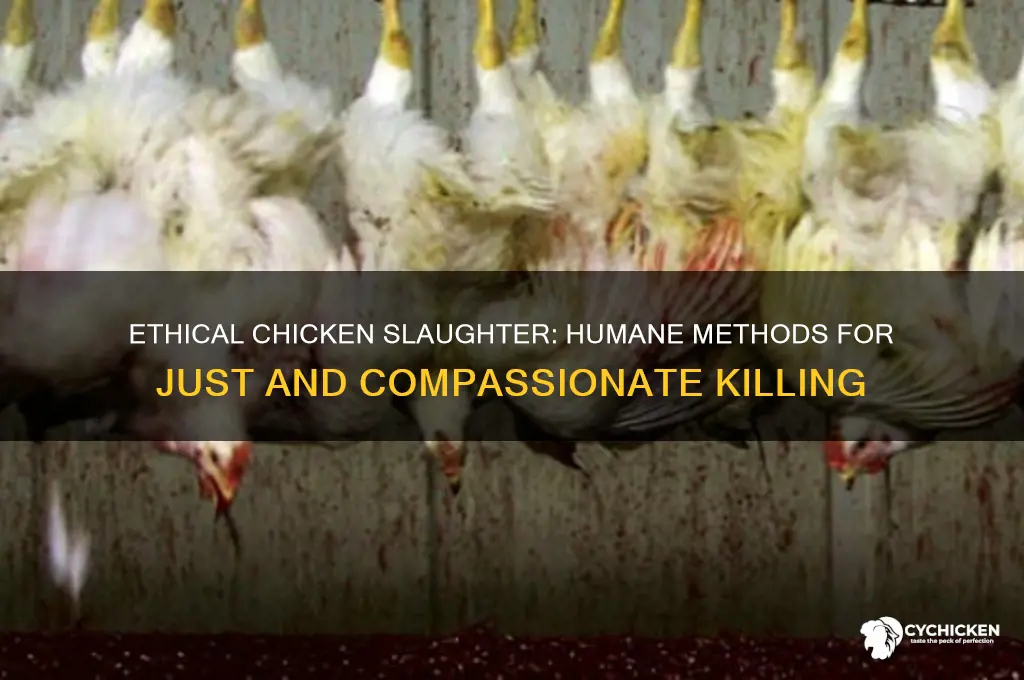 how do you justly kill a chicken