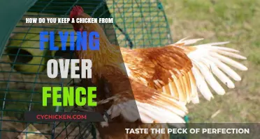 Preventing Chickens From Flying Over Fences: Strategies and Solutions