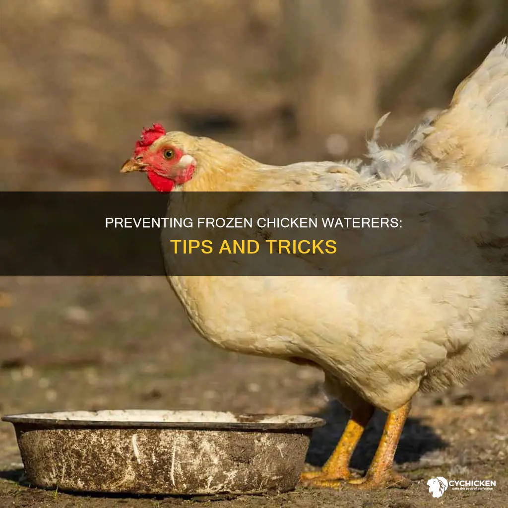 how do you keep a chicken waterer from freezing
