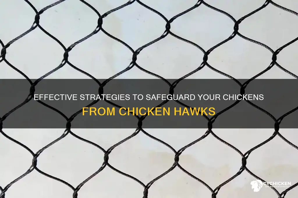 how do you keep chicken hawks away