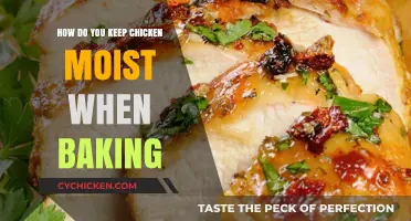 Secrets to Baking Perfectly Moist and Juicy Chicken Every Time