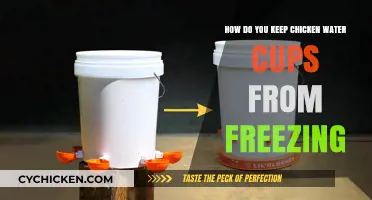 Preventing Frozen Chicken Water Cups: DIY Solutions