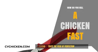 Quick and Humane Methods to Euthanize Chickens Efficiently