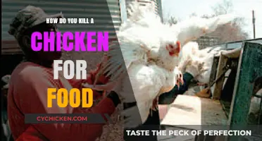 Humane Chicken Slaughter: A Step-by-Step Guide for Home Processing