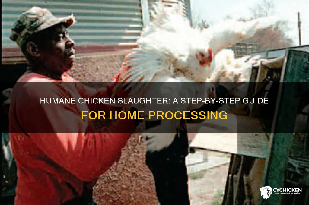 how do you kill a chicken for food