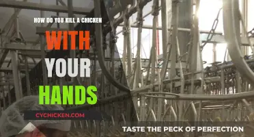 The Quickest Way to Dispatch a Chicken by Hand