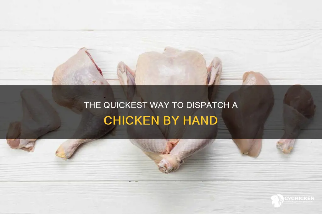 how do you kill a chicken with your hands