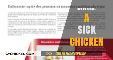 Compassionate Euthanasia: How to Humanely End a Sick Chicken's Suffering