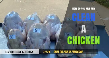 From Coop to Kitchen: A Guide to Killing and Cleaning Chickens
