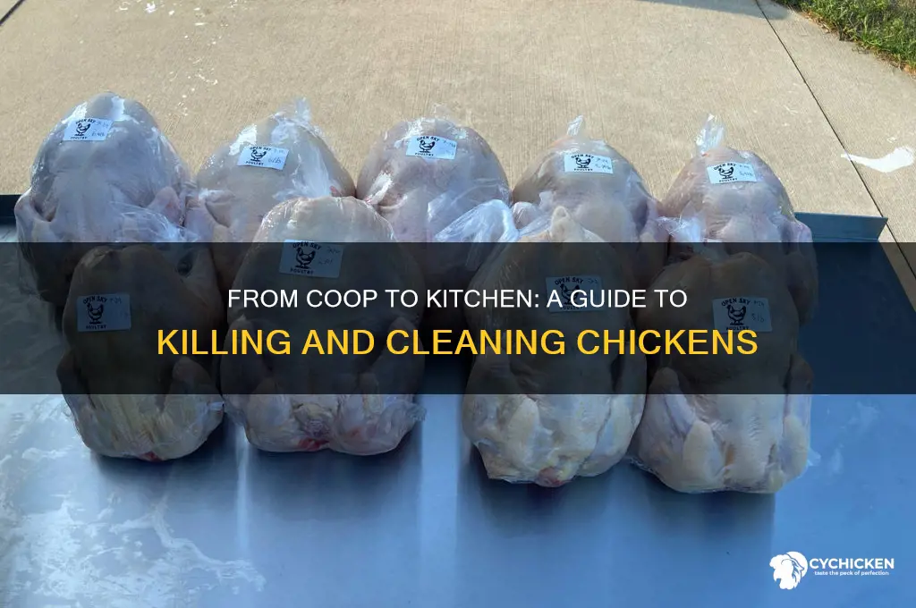 how do you kill and clean a chicken