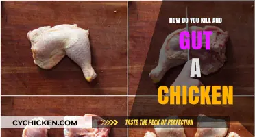 Step-by-Step Guide to Humanely Killing and Gutting a Chicken